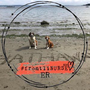 Meet your Posher, Sasha